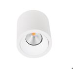 UNI-BRIGHT - Drop - Plafonnier - Rond blanc - 9W - 3000K - Incl. Driver