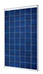 SolarWorld - Sunmodule Plus SolarWorld 260 Wp POLY