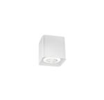 Wever & Ducré - Docus Mini Ceiling Surface 1.0 Par16 Max.12W White