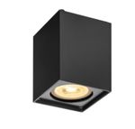 SLV LIGHTING - Applique et plafonnier d’intérieur en saillie ALTRA DICE CL, QPAR51, noir