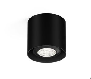 Wever & Ducré - Ray Mini Ceiling Surface 1.0 Par16 Max.12W Black