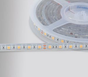 PROLUMIA - LED strip Gold IP68 12VDC 14,4W/m, 60 LEDs/m blauw (Rol van 5 meter)