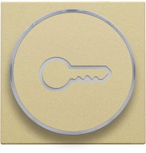 Set de finition avec anneau transparent avec symbole clé pour bouton-poussoir 6 A avec LED couleur ambre avec culot E10, alu gold coated