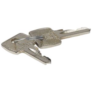 Legrand - Set van 2 sleutels no 2433 A voor cilinderslot met sleutels