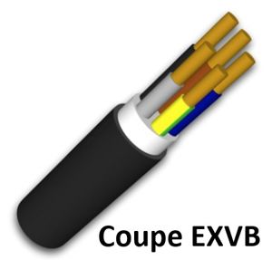KABEL - Coupe 2 m Energiekabel EXVB - Eca 3G2,5 mm² - 2 Meter