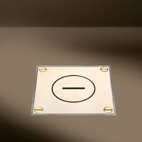 Arpi - Arpi IP64 - Floor outlet - FR/BE - Polished Brass