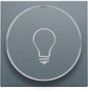 Set de finition avec anneau transparent avec symbole lampe pour bouton-poussoir 6 A avec LED couleur ambre avec culot E10, alu steel grey coated