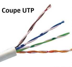 KABEL - Coupe 11 m Câble de transmission de données pas blindéU/UTP Cat. 6 - Outdoor - 11 Mètre