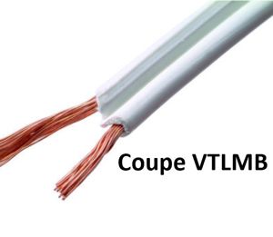 KABEL - Coupe 6 m Câble de raccordement flexible VTLmB (A03VH-H) - 2 x 0,75 mm² - Transparant - 6 Metré