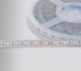 PROLUMIA - LED strip Gold IP68 12VDC 14,4W/m, 60 LEDs/m 2700K (Rol van 5 meter)