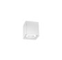 Wever & Ducré - Docus Mini Ceiling Surface 1.0 Par16 Max.12W White